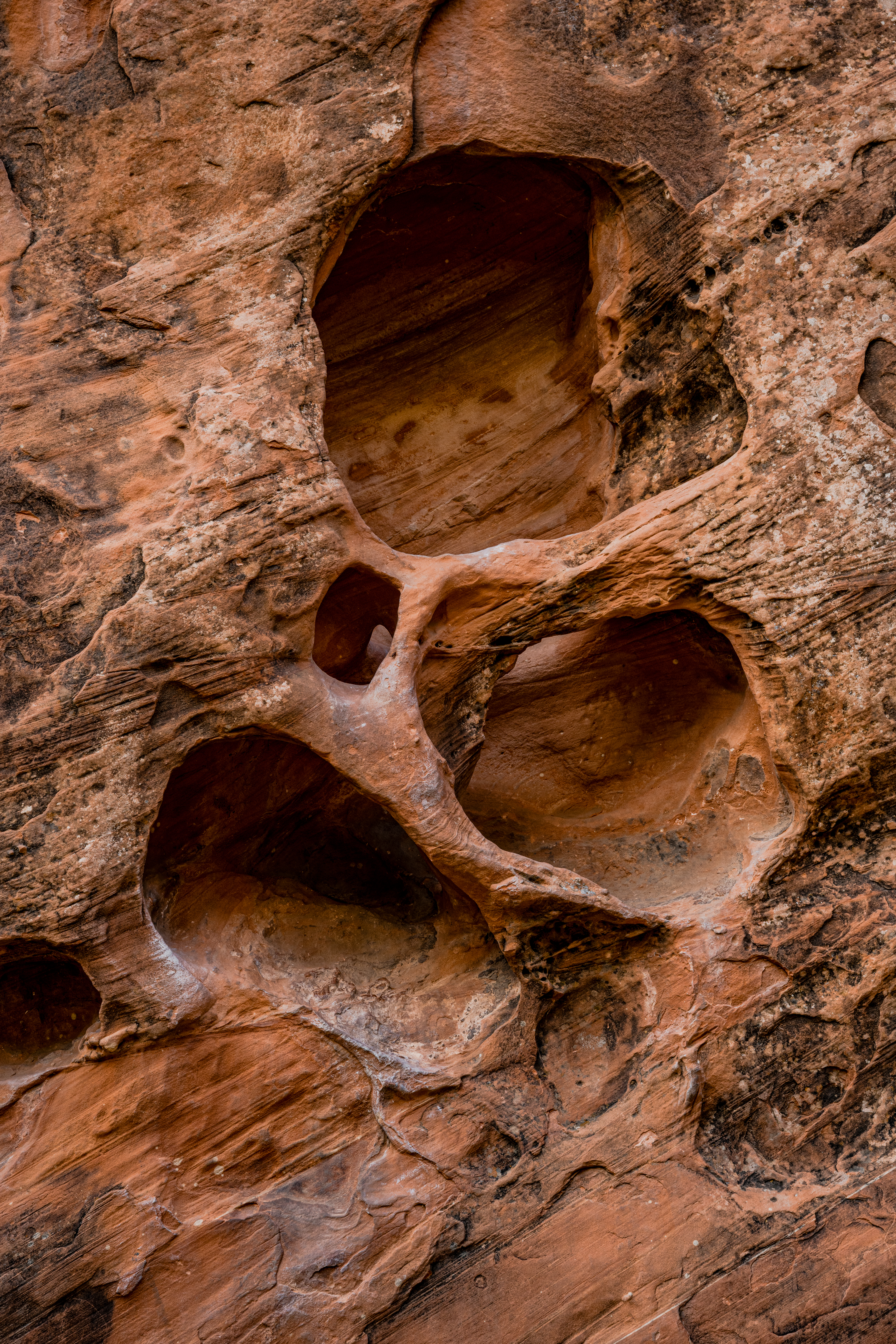Weathered Red Rocks 5734