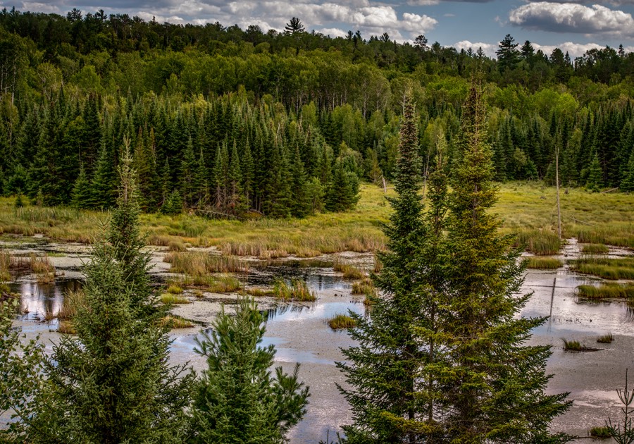 Voyageurs National Park