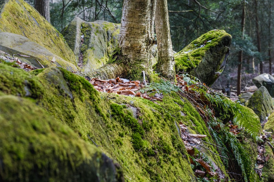 Cuyahoga Valley National Park