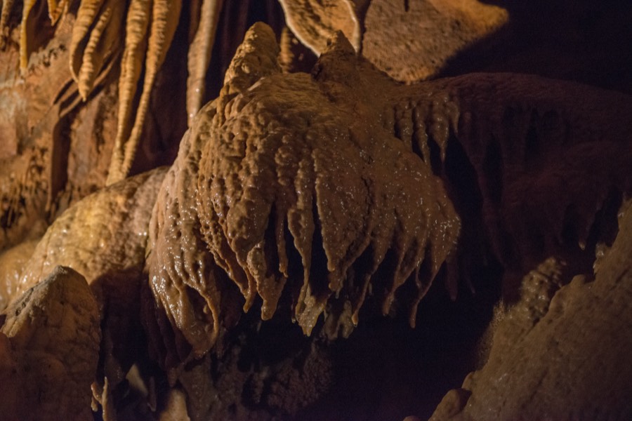 Mammoth Cave